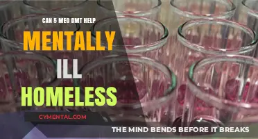 Exploring 5-MeO-DMT's Potential for Mentally Ill Homeless Populations