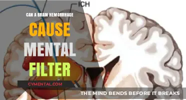 Exploring the Link: Brain Hemorrhage and Mental Filter Effects