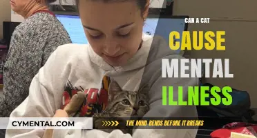 Feline Frenzy: Unraveling the Myth of Cats and Mental Health