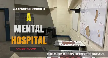 Navigating Visitation Rights: Felons and Mental Health Facilities