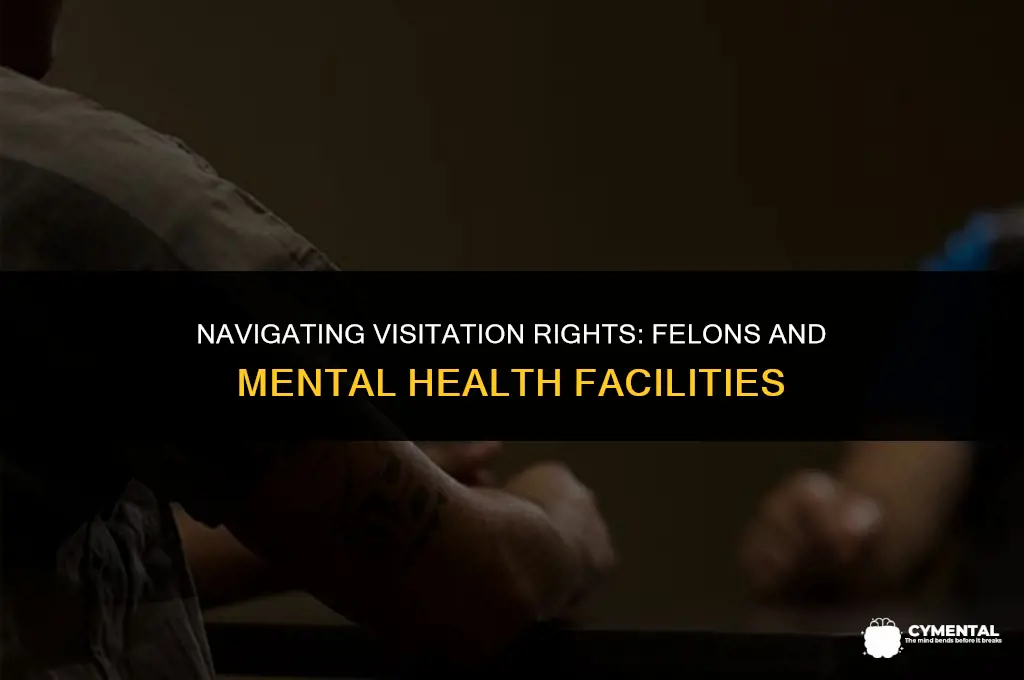 can a felon visit someone in a mental hospital