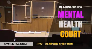 Exploring Mental Health Court Access for Juveniles: A Comprehensive Guide
