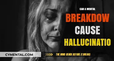 Exploring the Link: Mental Breakdowns and Hallucinations