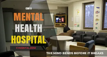 Exploring the Role of Mental Health Hospitals in Modern Care