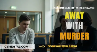 Exploring the Complex Intersection of Mental Health and Criminal Responsibility
