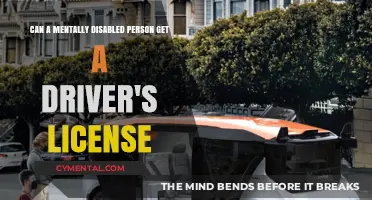 Navigating the Road: Driver's Licenses for Mentally Disabled Individuals