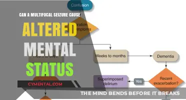 Exploring the Link: Multifocal Seizures and Altered Mental Status