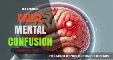 Exploring the Link: Parasites and Mental Confusion Uncovered