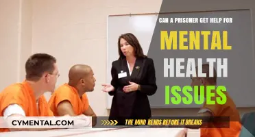 Prisoner Mental Health Support: Accessing Care Behind Bars