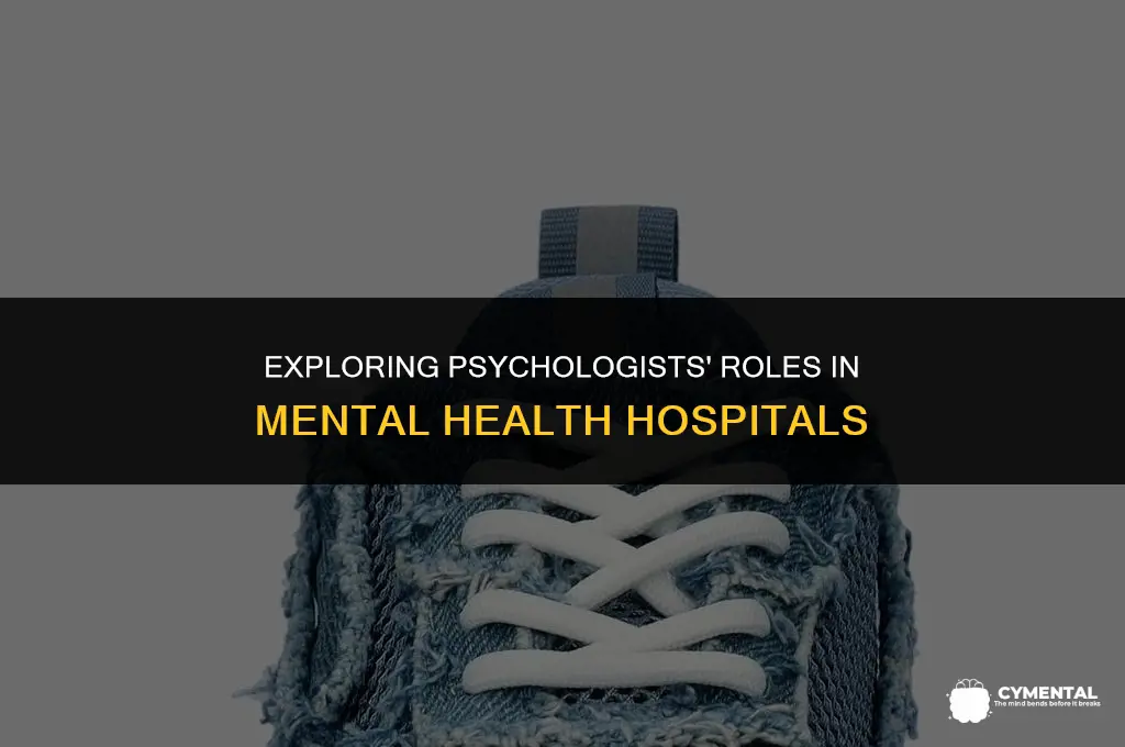 can a psychologist work in a mental hospital