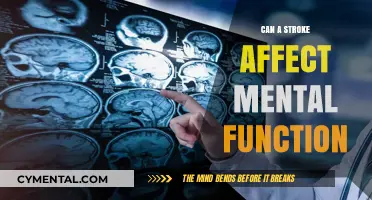 Exploring the Impact of Stroke on Cognitive Function and Mental Health