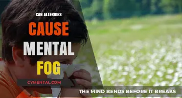Unveiling the Link: Allergies and Mental Fog Explored