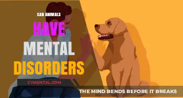Exploring the Complexity: Can Animals Experience Mental Disorders?