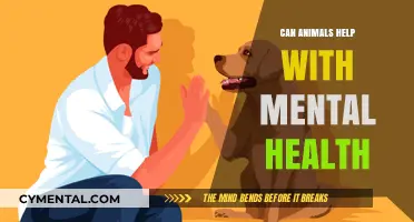 Healing Companions: How Animals Support Mental Health and Well-Being