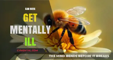 Exploring the Intriguing Question: Can Bees Experience Mental Illness?