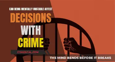 Mental Instability and Criminal Decision-Making: A Complex Relationship