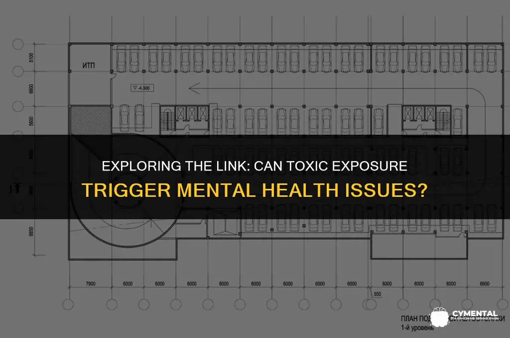 can being poisoned cause mental illness