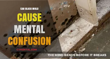 Unveiling the Truth: Black Mold's Impact on Mental Clarity