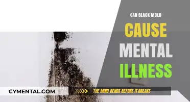 Exploring the Link: Can Black Mold Impact Mental Health?