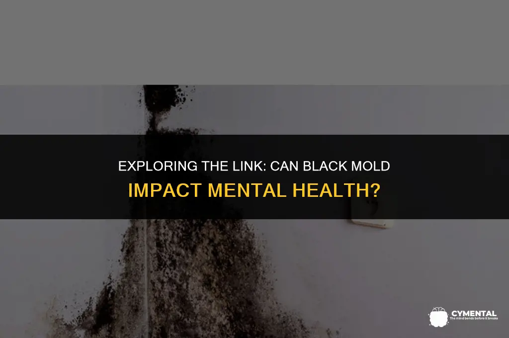 can black mold cause mental illness