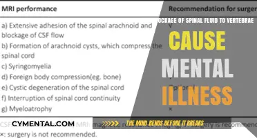 Exploring the Link: Spinal Fluid Blockage and Mental Health