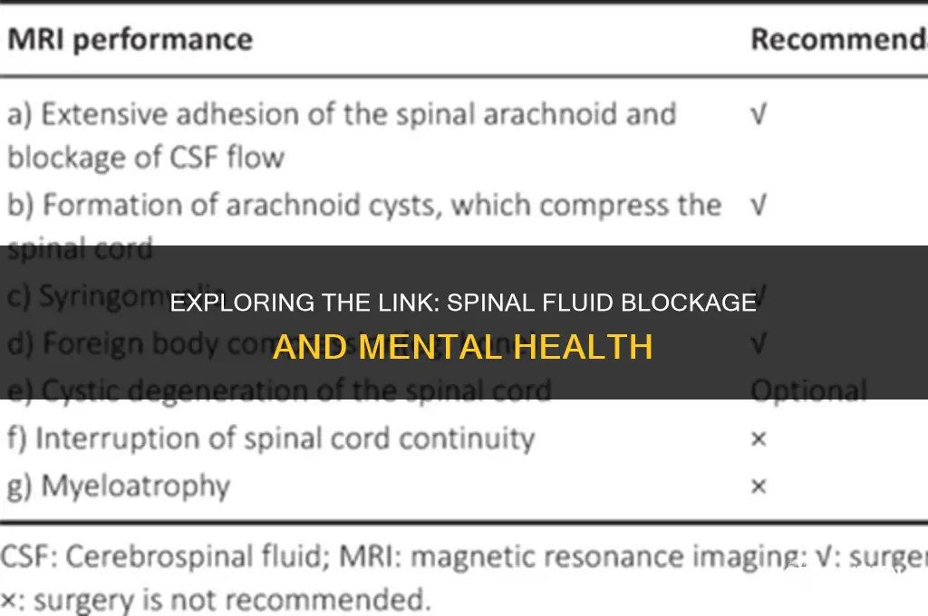 can blockage of spinal fluid to vertebrae cause mental illness