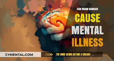 Exploring the Link: Brain Damage and Mental Illness