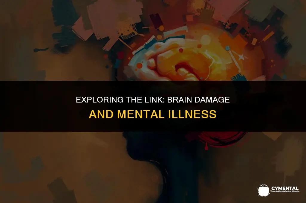 can brain damage cause mental illness