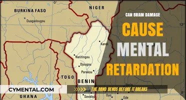 Exploring the Link: Brain Damage and Mental Retardation