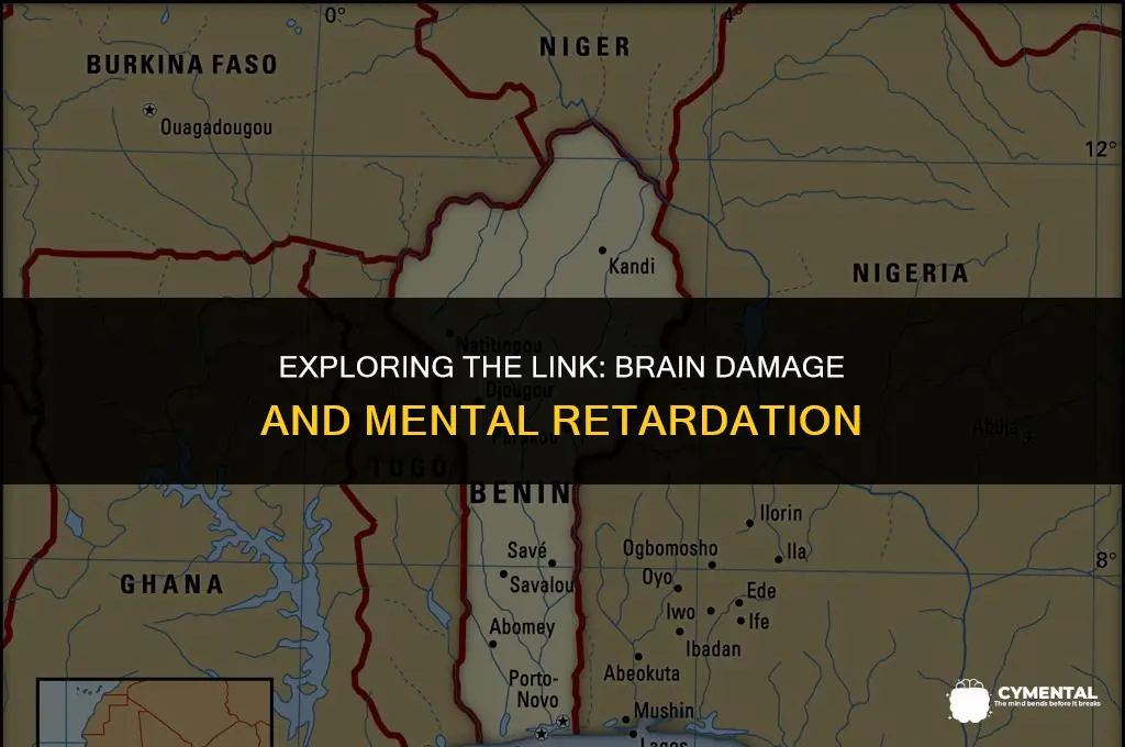 can brain damage cause mental retardation