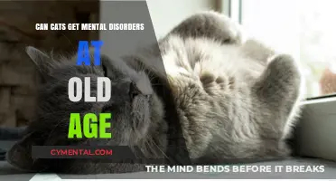Feline Mental Health: Understanding Disorders in Aging Cats