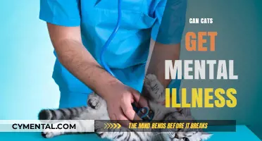 Feline Mental Health: Understanding and Addressing Behavioral Issues in Cats
