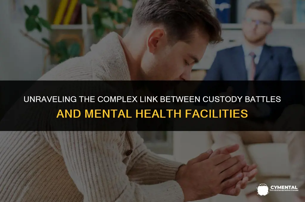 can custody battle bring up mental hospital
