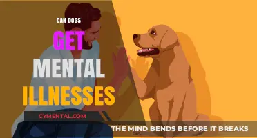Exploring Canine Mental Health: Do Dogs Experience Mental Illness?