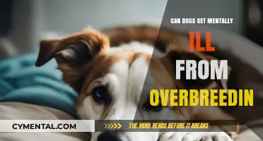 The Hidden Toll of Overbreeding: Can Dogs Suffer Mental Illness?
