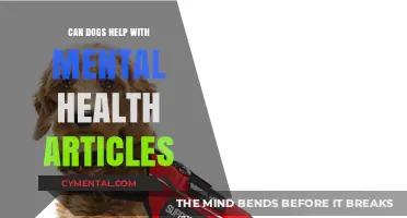 Dogs and Mental Health: How Canines Provide Emotional Support and Healing