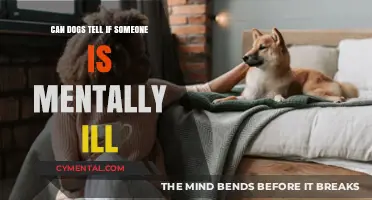Can Dogs Sense Mental Illness? Exploring the Canine-Human Connection