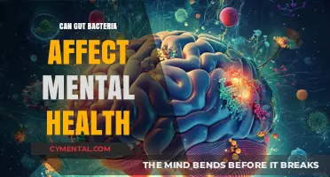 Exploring the Gut-Brain Connection: How Microbiota Influences Mental Health