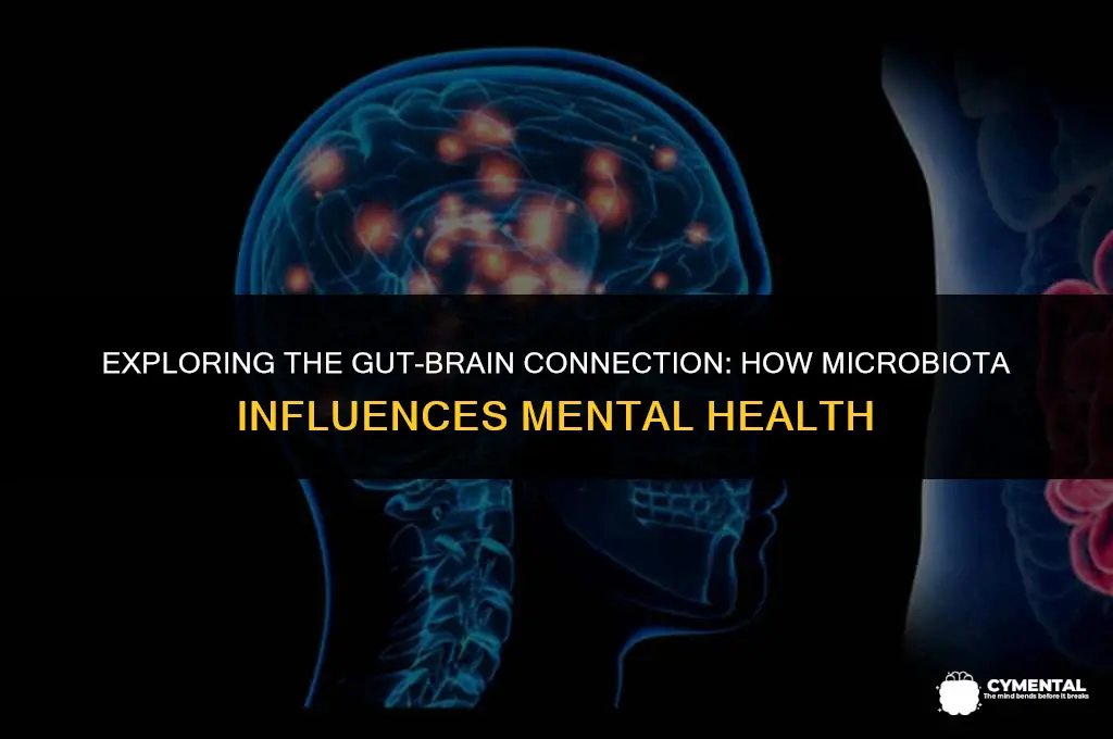 can gut bacteria affect mental health