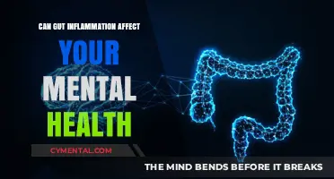 Exploring the Gut-Brain Connection: Inflammation's Impact on Mental Health