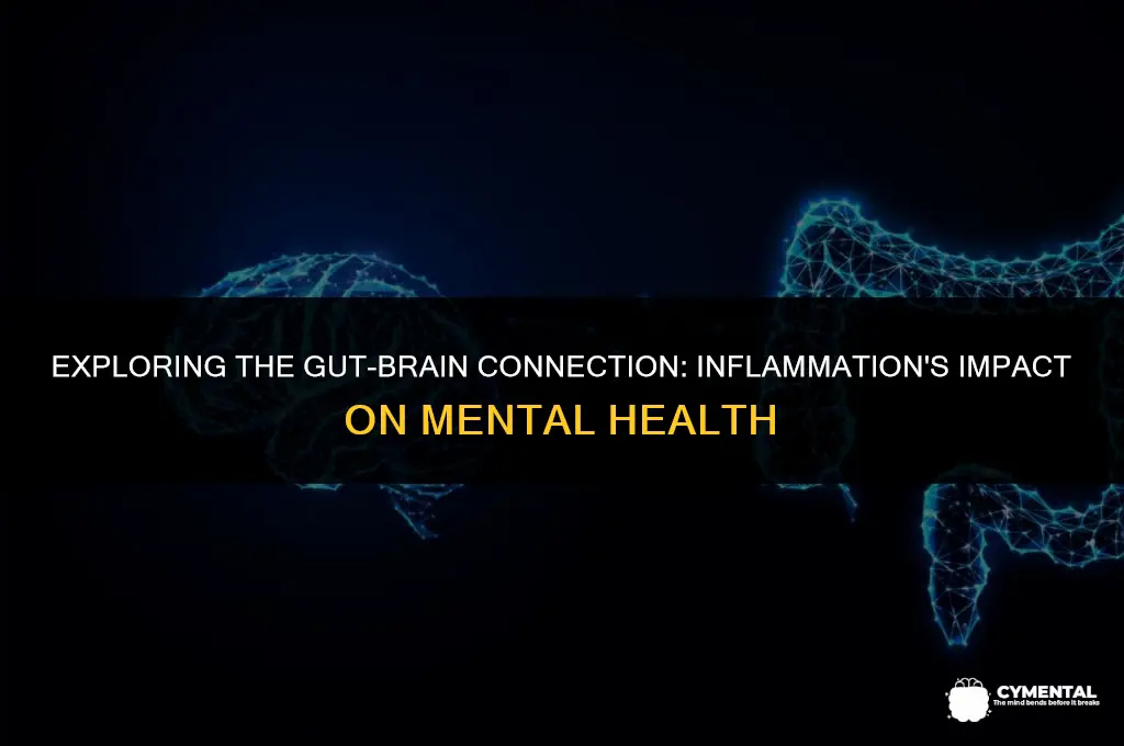 can gut inflammation affect your mental health