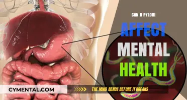 Exploring the Gut-Brain Connection: H. Pylori's Impact on Mental Health