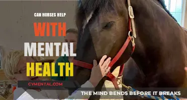 Equine Therapy: How Horses Heal and Improve Mental Health