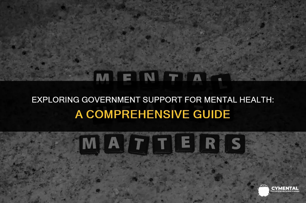 can i get government assistance for mental illness