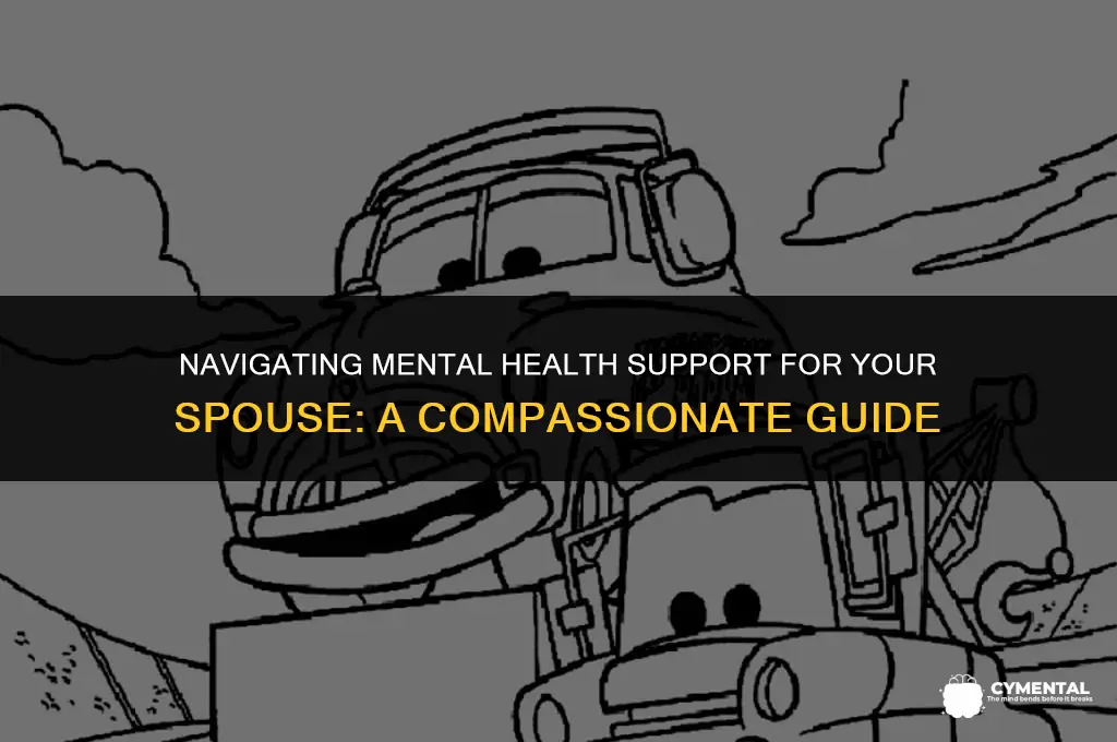 can i get my wife committed for mental health