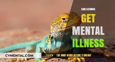 Exploring Reptilian Psychology: Can Lizards Experience Mental Illness?