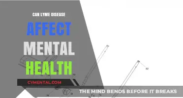 Exploring the Complex Link Between Lyme Disease and Mental Health