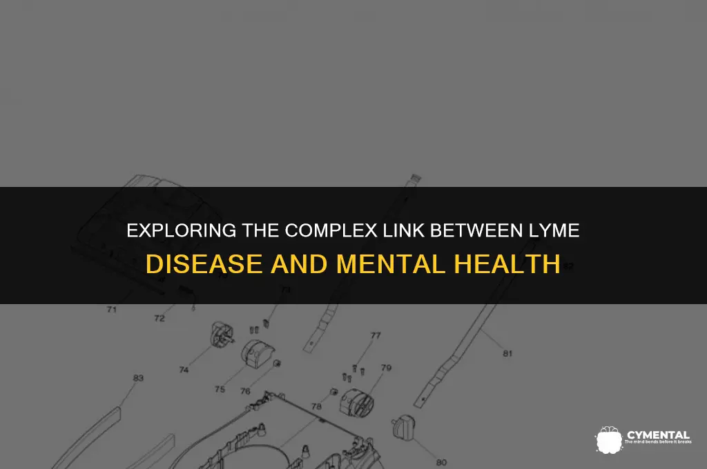 can lyme disease affect mental health