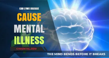 Exploring the Link: Lyme Disease and Mental Health