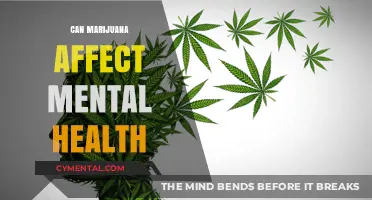 Exploring the Complex Relationship Between Marijuana and Mental Health